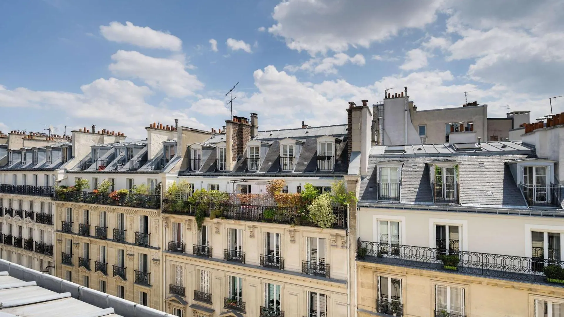 Hotel Ibis Styles Cadet Lafayette